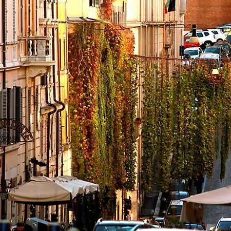 Suityrhome Rionemonti56-3